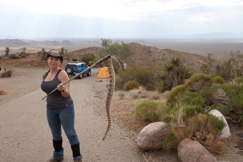 Caught a Rattlesnake Wish a Makeshift Snake Catcher