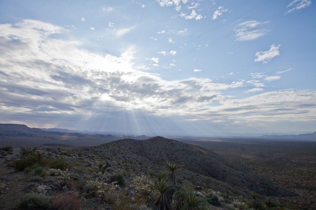Sunbeams Over the Mojave