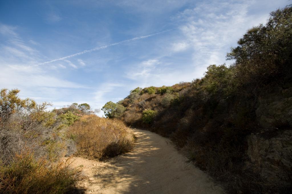 The Trail to Eagle Rock