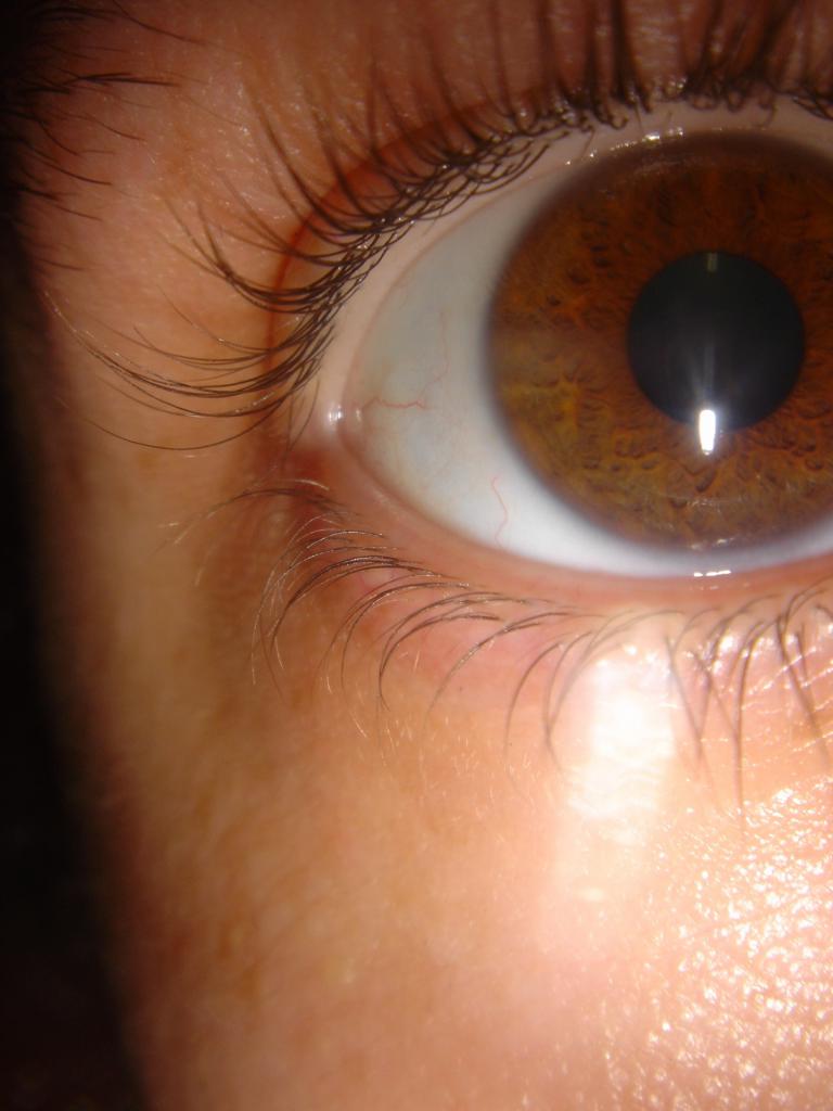 eye of eecue